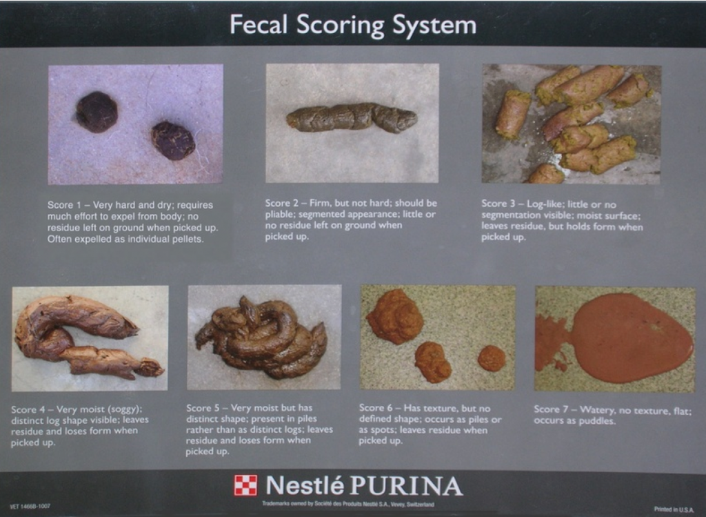 Fig 1 - Purina fecal scoring system