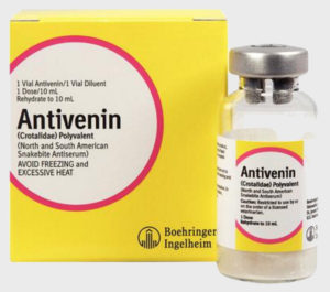 Fig - Antivenin