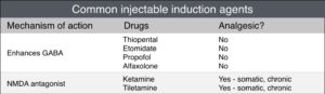 table-injectable-induction-agents